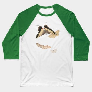 Moths and Butterflies sketch Baseball T-Shirt